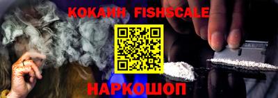 индика Сланцы