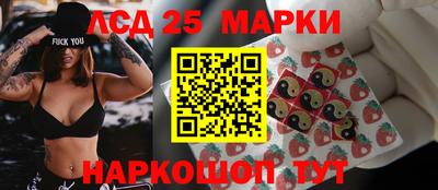 индика Сланцы