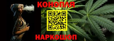 индика Сланцы