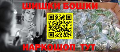 индика Сланцы