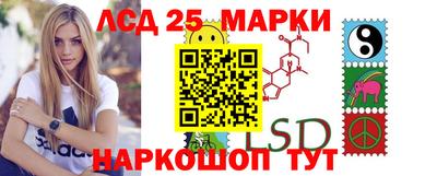 индика Сланцы