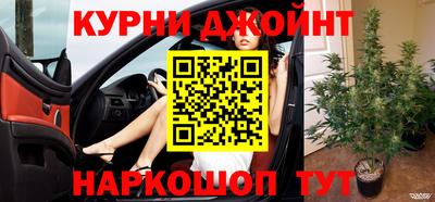 индика Сланцы