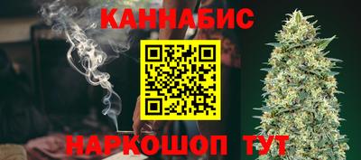 индика Сланцы