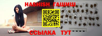 индика Сланцы