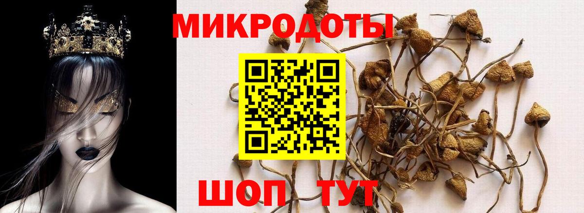 Галлюциногенные грибы мухоморы  Вход с VPN  Осинники  Псилоцибиновые грибы прущие грибы 